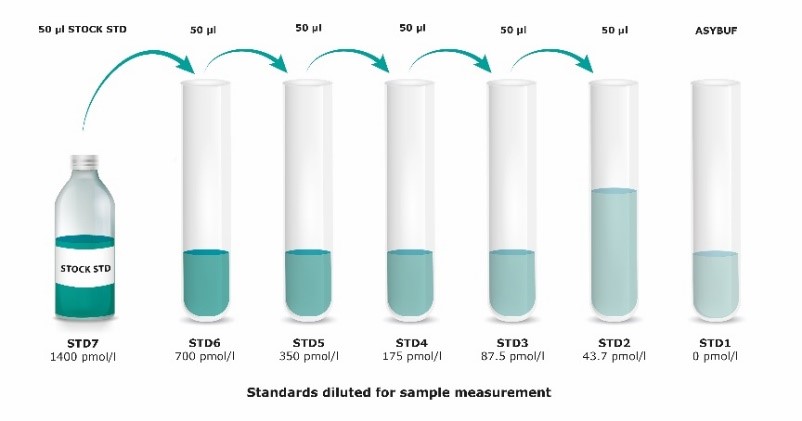 Mouse/Rat Angiopoietin-2 ELISA Standards diluted for sample measurement