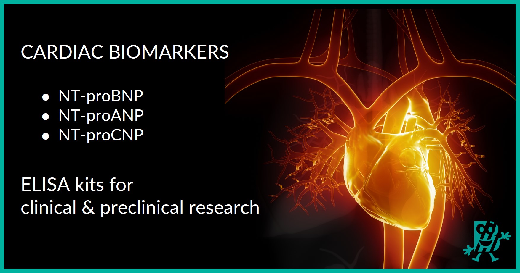 assignment on cardiac markers