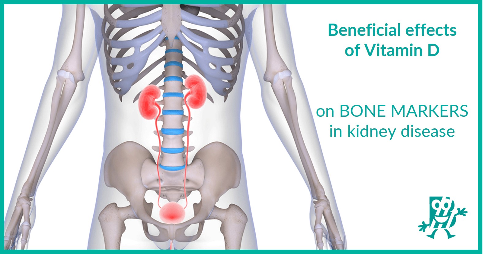 Effects of Vitamin D on Bone Markers in Kidney Disease Biomedica