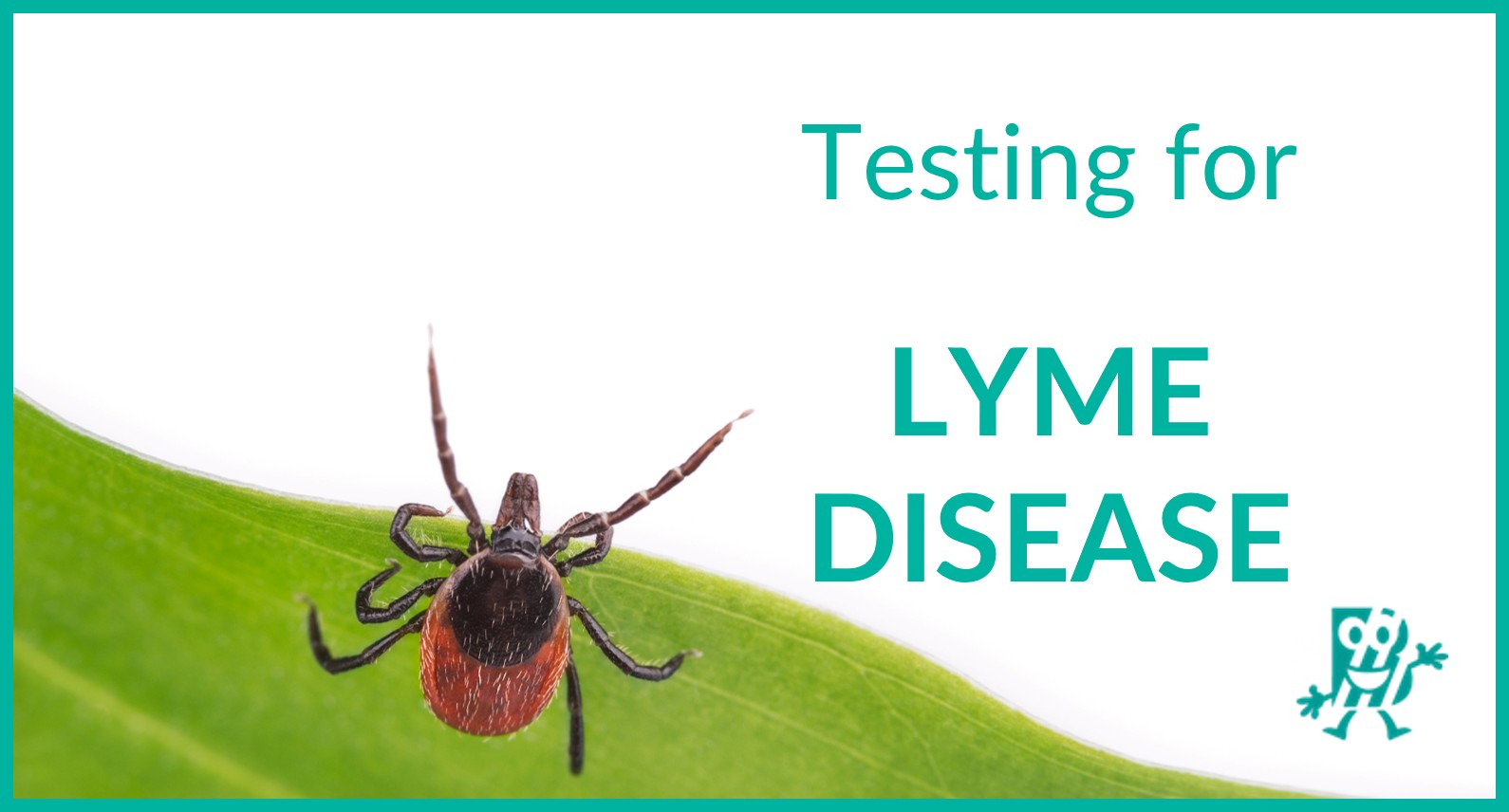 Lyme disease testing biomedica